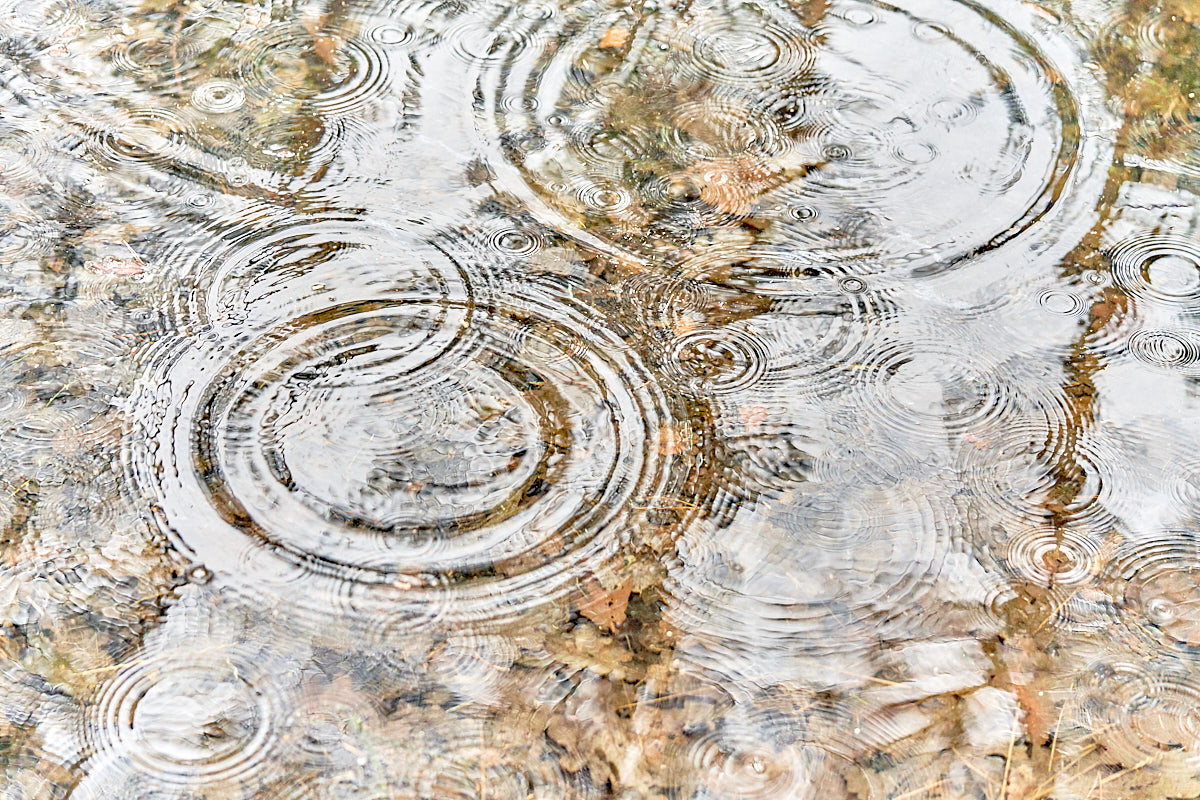 Regendruppels tekenen een patroon van concentrische cirkels in het water